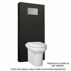 REGIPLAST Module Sanitaire à Commande Mécanique Noir Pour Cuvette Sol