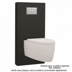 REGIPLAST Module Sanitaire à Commande Mécanique Noir Pour Cuvette Suspendue