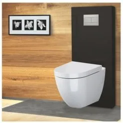 REGIPLAST Module Sanitaire à Commande Mécanique Noir Pour Cuvette Suspendue -REGIPLAST Soldes 40196111 3