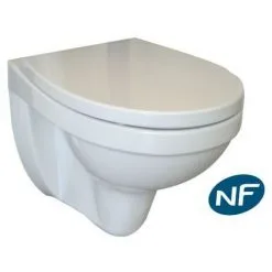 Cuvette Suspendue Standard NF Avec Abattant En Polypropylène - Regiplast